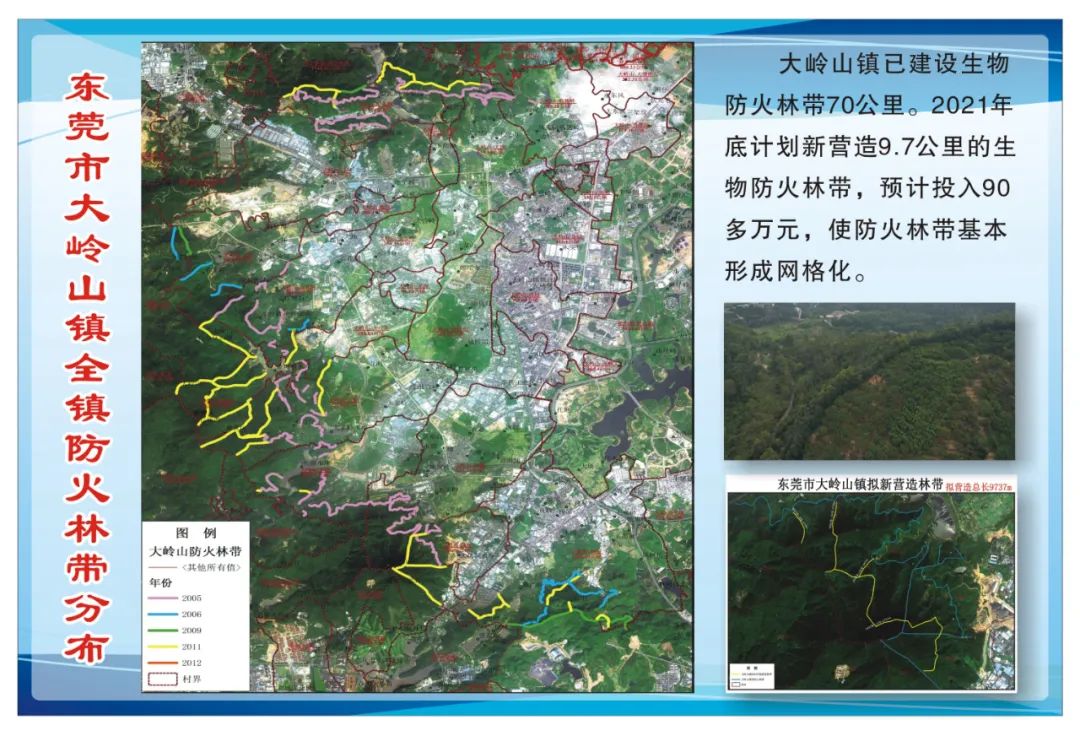 大岭林场最新发展规划，迈向绿色可持续发展新征程