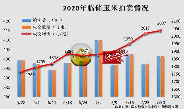 国储玉米拍卖最新动态与深度解析