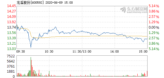 龙溪股份股票最新动态全面解析