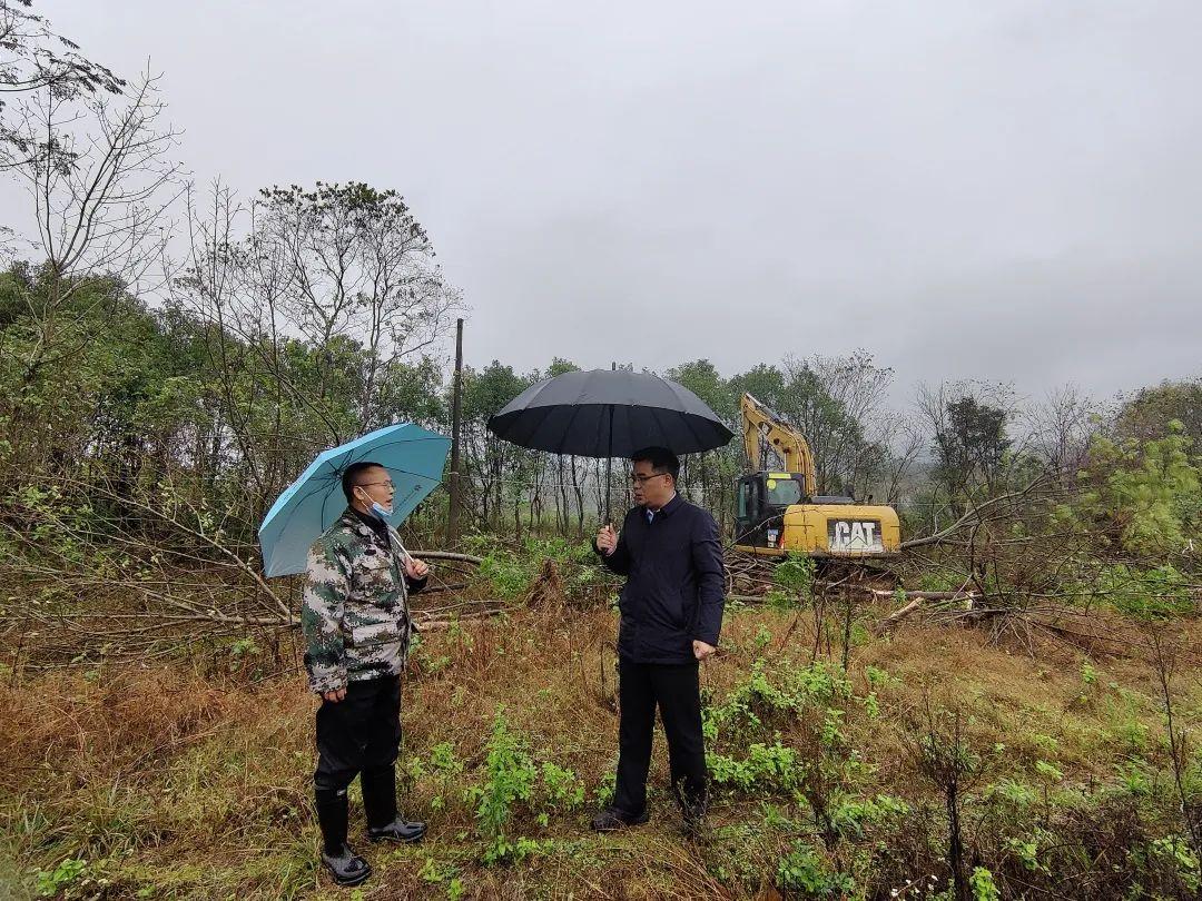 长汀县住房和城乡建设局最新项目概览，探索城市建设新动向