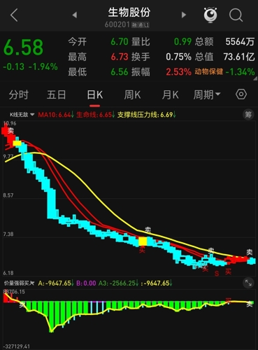 生物股份股票最新动态与行业趋势深度解析